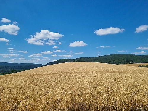 Poranki chłodne, popołudnia ciepłe [POGODA]