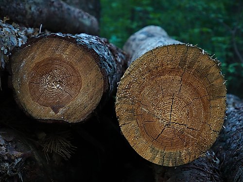 Przelotny deszcz rano, potem bardziej pogodnie i chłodniej [POGODA]