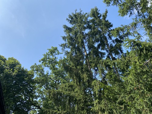 IMGW ostrzega: Upały atakują Kujawsko-Pomorskie!