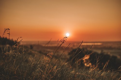 Słońce i wzrost temperatury [POGODA]