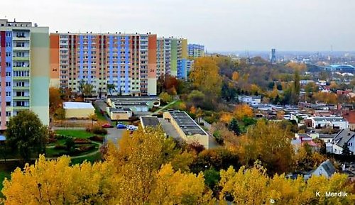 Bydgoszcz z wysoką i intensywną zabudową?  Anna Rembowicz-Dziekciowska krytykuje kierunek rozwoju miasta
