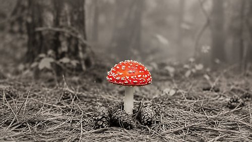 [KSIĄŻKA TYGODNIKA] Epoka, która czci naukę, gubi rozum? Pięć „toksyn” opisanych przez Tomasza Rowińskiego