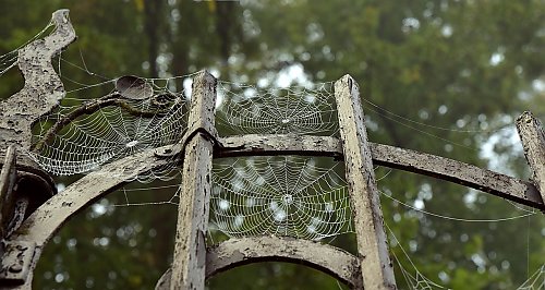 Pochmurno z przelotnym deszczem i porywistym wiatrem [POGODA]