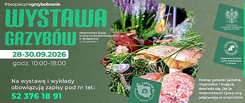 Grzybobranie bez zgadywania. W Bydgoszczy specjaliści pokażą, jak rozpoznawać gatunki