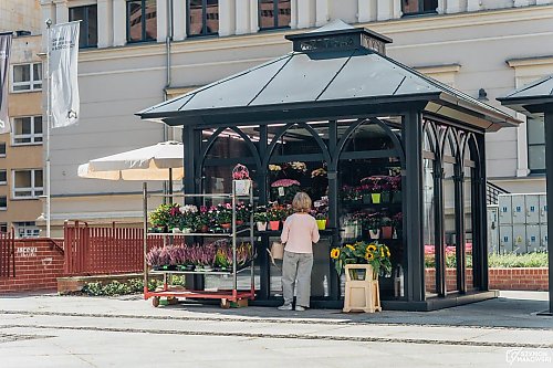 Wraca ruch przy Placu Wolności w Bydgoszczy. Kwiaciarki przeprowadzają się do nowych pawilonów