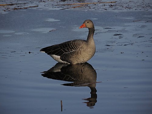 Ciepła sobota, deszczowa niedziela [POGODA]