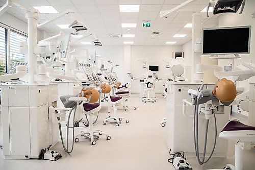 Stomatologia w Bydgoszczy ma nowy dom. Otwarto centrum CM UMK