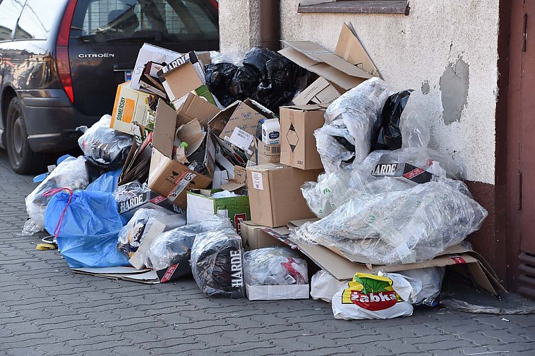 Śmieci zalewają miasto. Ratusz nie widzi problemu? [ZDJĘCIA]