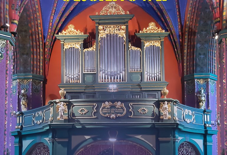 Muzyki organowej posłuchasz w katedrze