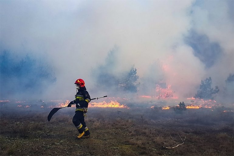 Pożar łąki w Bydgoszczy. Strażacy ostrzegają: Wypalanie traw zabija!
