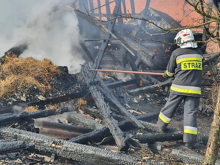 Kolejny w ostatnich dniach pożar w Dąbrowie Wielkiej [GALERIA]