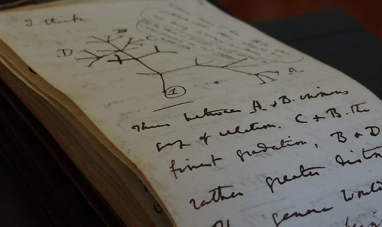 Po 20 latach ktoś zwrócił rękopisy Karola Darwina