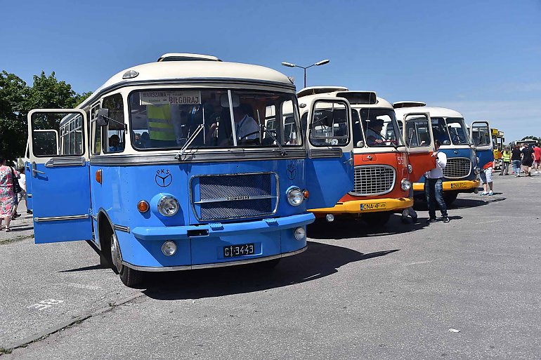 W najbliższy weekend na ulice wyjadą zabytkowe autobusy. Bezpłatne kursy do Myślęcinka 