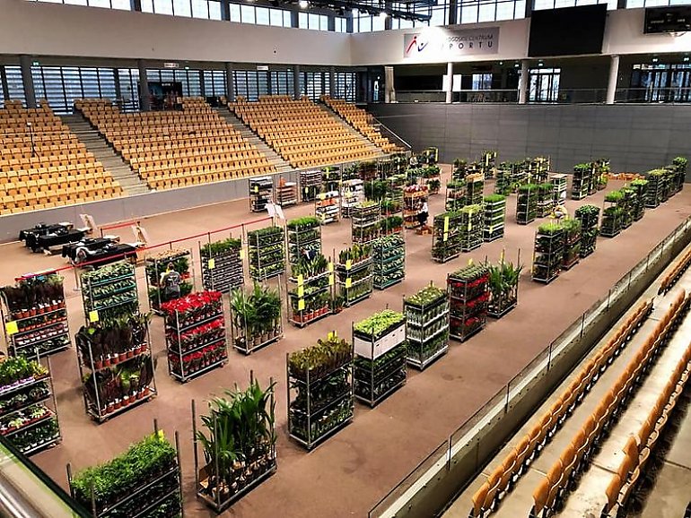 Już w ten weekend, w bydgoskiej hali Arena odbędą się targi roślin doniczkowych