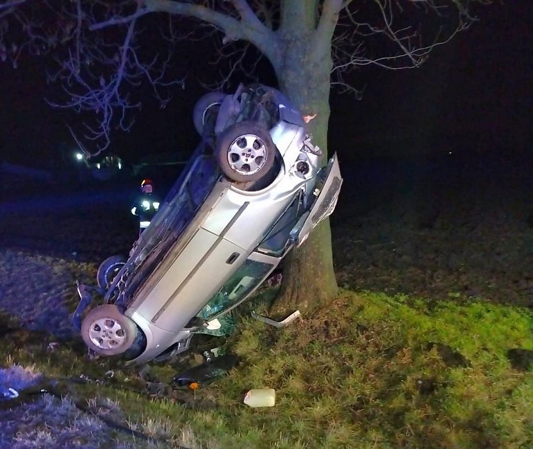 Pijany 19-latek jazdę zakończył na drzewie. Trafił do szpitala [ZDJĘCIA]