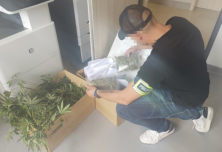 Policjanci zlikwidowali dwie nielegalne plantacje i zabezpieczyli prawie 4 kilogramy narkotyków
