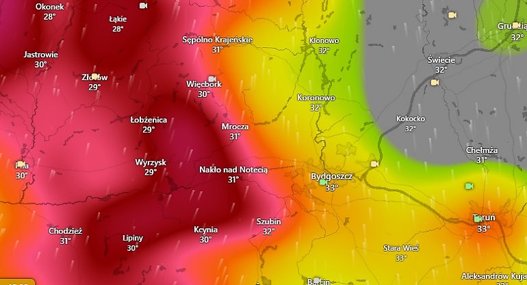 Nawałnica uderzyła w Sępólno Krajeńskie [RELACJE]