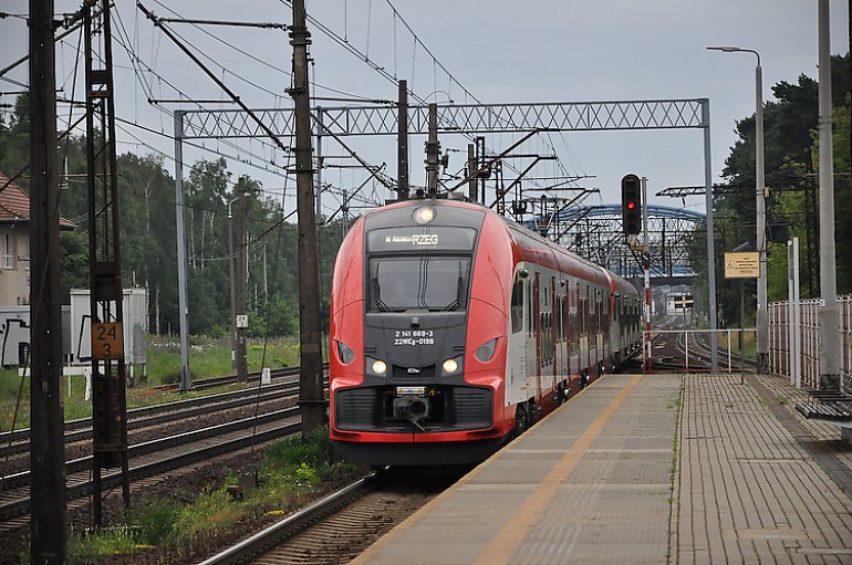 Pociąg Rybitwa okazał się hitem na torach