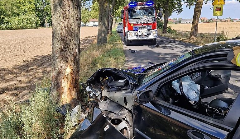 Pijany kierowca saaba uderzył w drzewo