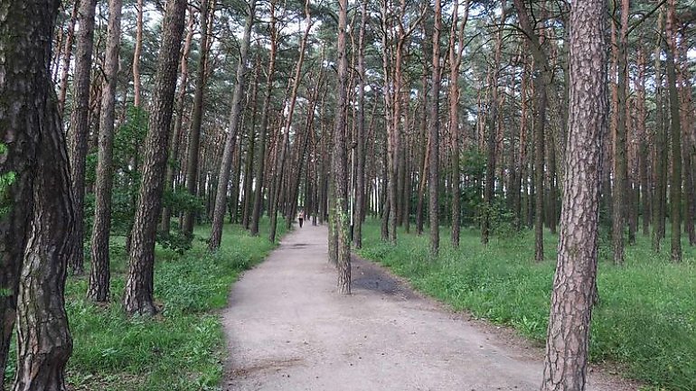 Na Kapuściskach wypięknieje park. Będą wygodne alejki