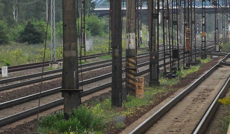 Tragiczny wypadek na torach. Pociąg przejechał mężczyznę