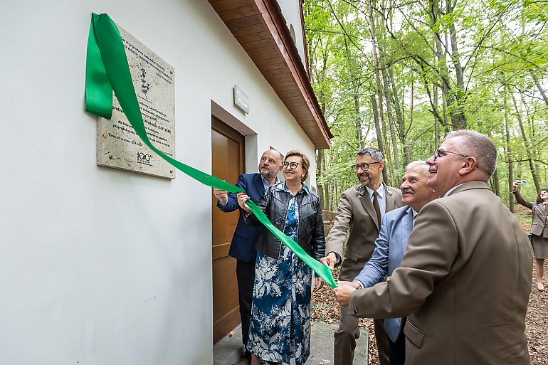 Las Piwnicki – 100 lat ochrony cennego przyrodniczo obszaru [ZDJĘCIA]