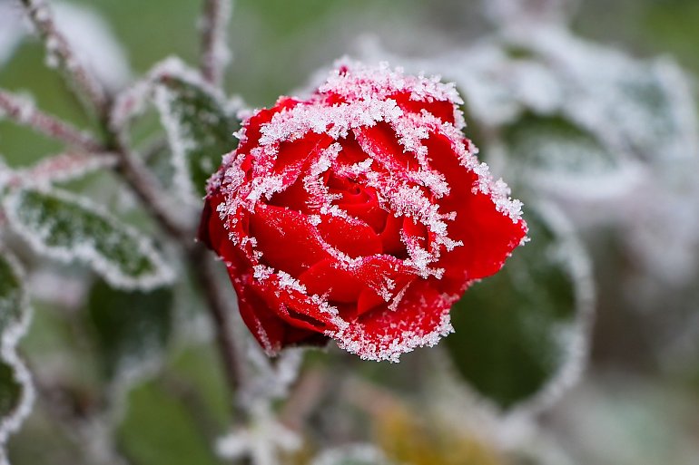 Temperatura spadła poniżej zera! [POGODA]