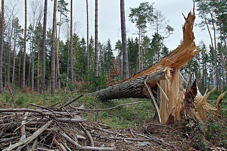 Woj. kujawsko-pomorskie, IMGW-PIB wydał ostrzeżenie pierwszego stopnia o silnym wietrze