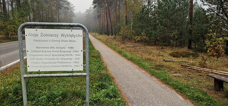 Wandalizm na alei Żołnierzy Wyklętych: zniszczono Dęby Pamięci bohaterów powojennego podziemia