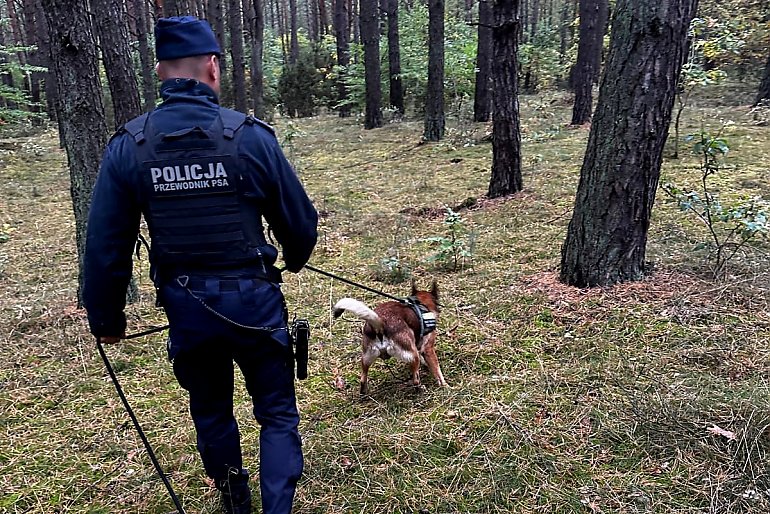 Zaginęła w lesie na grzybobraniu. Policja użyła psów tropiących