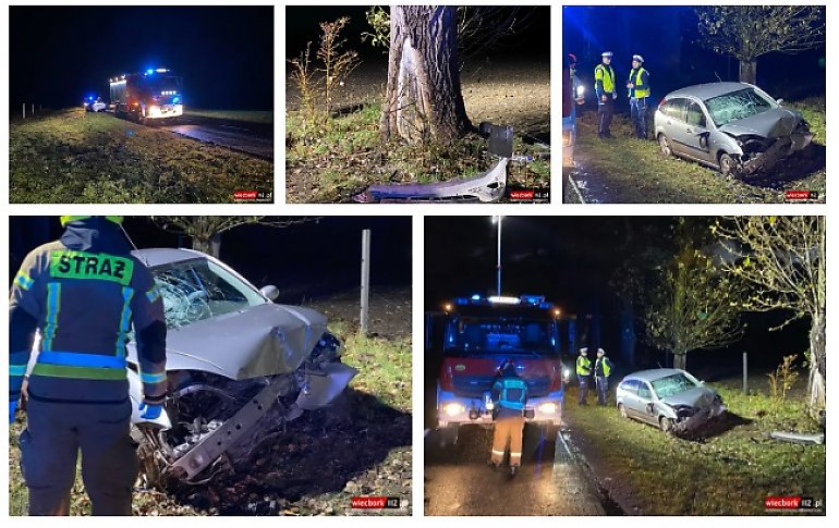 Auto uderzyło w drzewo na drodze wojewódzkiej. Ranny kierowca trafił do szpitala