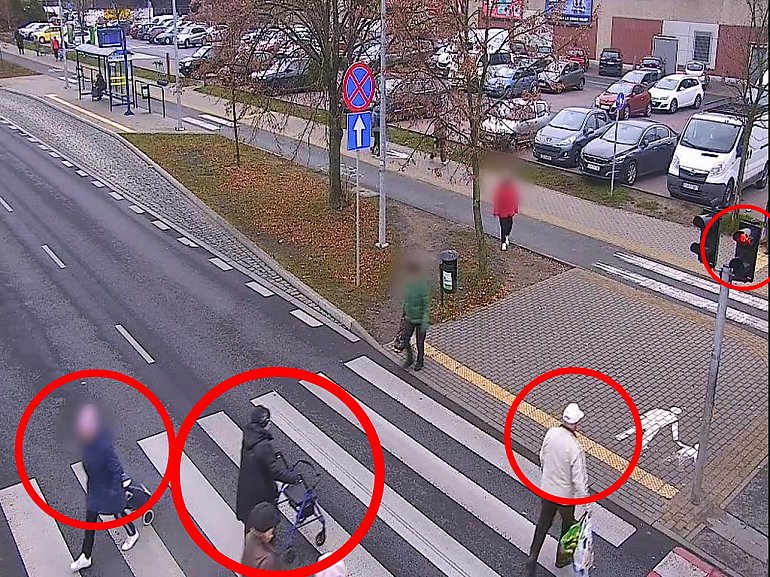 Policja podglądała pieszych. Funkcjonariusze ujawnili mnóstwo wykroczeń  [WIDEO}