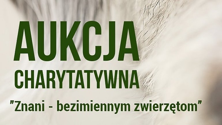 Aukcja charytatywna dla bezimiennych zwierząt. Organizatorzy zachęcają do udziału