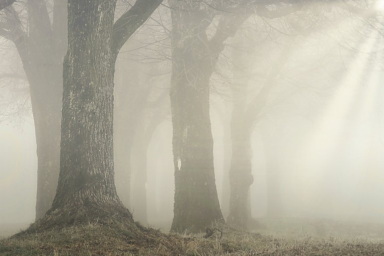 Uwaga! Gęsta mgła. Jest ostrzeżenie meteorologów