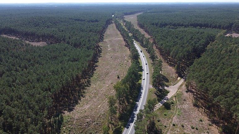 Będą budować S10 w stronę Szczecina. GDDKiA ujawniła plany na 2025 