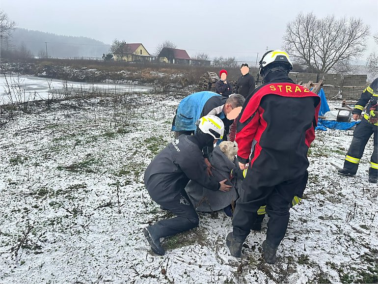 Dramatyczna akcja ratunkowa – strażacy uratowali dwa psy z lodowatej wody 