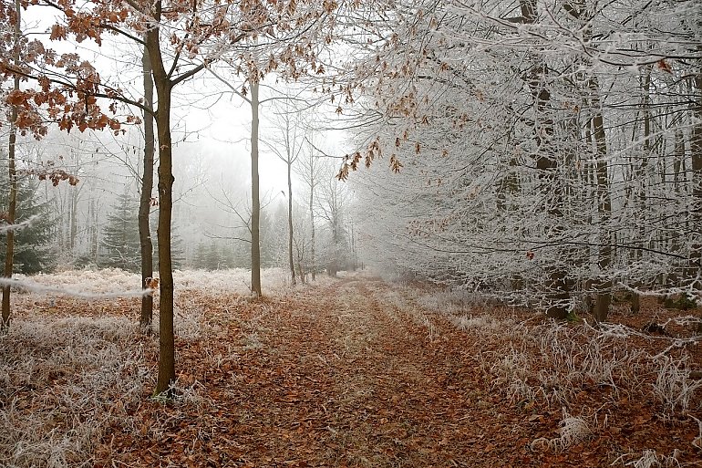 Pełzająca zima [POGODA]