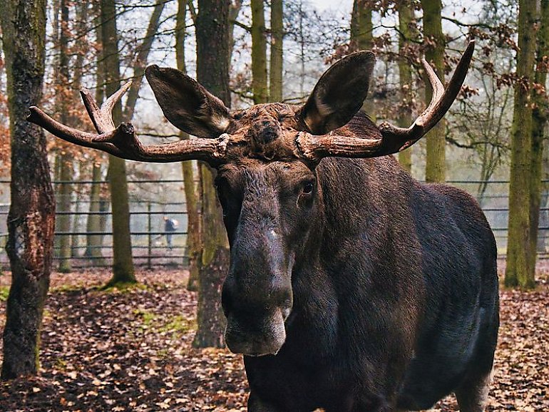 Ferie w zoo w Myślęcinku dla dzieci