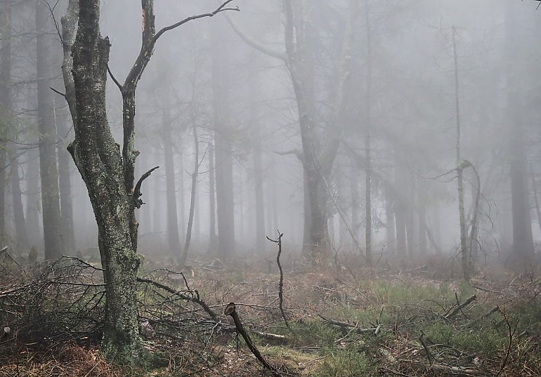 Spadek ciśnienia [POGODA]