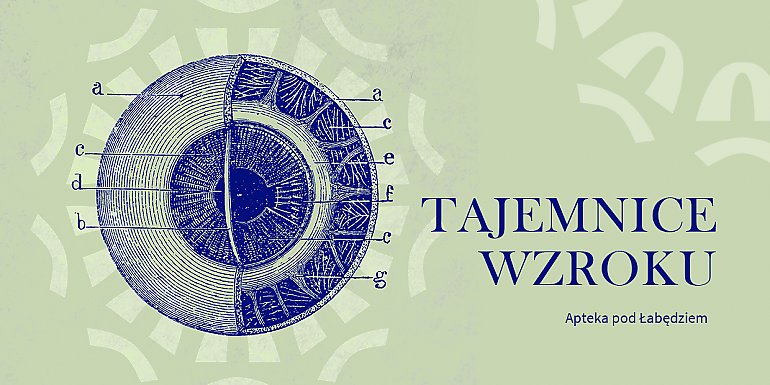 Nie uwierzysz, co potrafi ludzkie oko! Nowa wystawa w centrum Bydgoszczy otwiera oczy na świat!