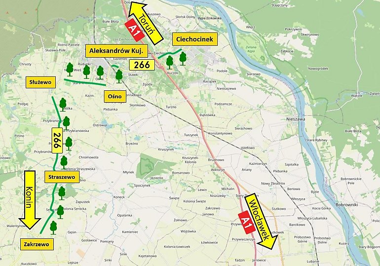 440 drzew wraca przy ważnej drodze! Nowa aleja zamiast betonu
