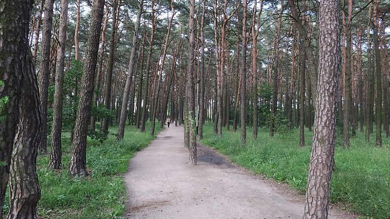 Park na Kapuściskach do remontu! Mieszkańcy wywalczyli zmiany, ruszają prace