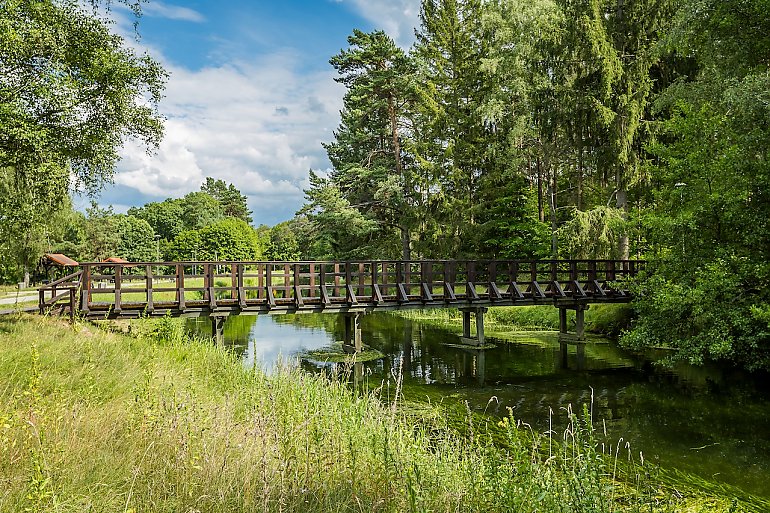 Grzyby, kajaki i średniowieczne grodzisko. Tucholski Park przyciąga tłumy z Bydgoszczy [GALERIA ZDJĘĆ]
