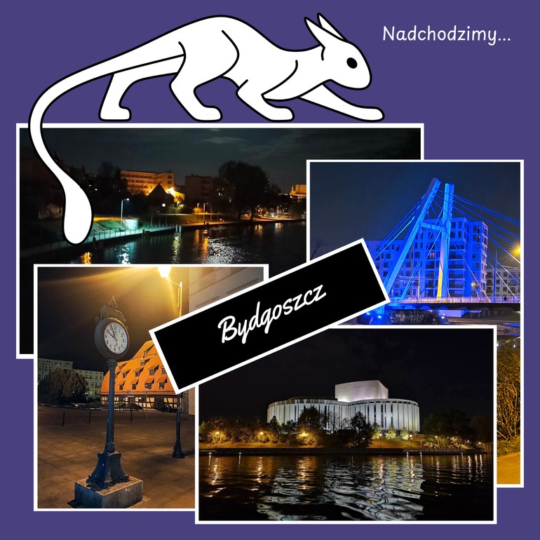Bezalkoholowe wieczory w Bydgoszczy? Zielone światło dla nowego projektu!