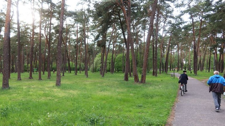 Wyborcza szansa dla mieszkańców Leśnego – zdecyduj o przyszłości swojej okolicy!