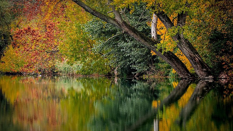 Zachmurzenie i wiatr nad Bydgoszczą. Coraz chłodniej [POGODA]