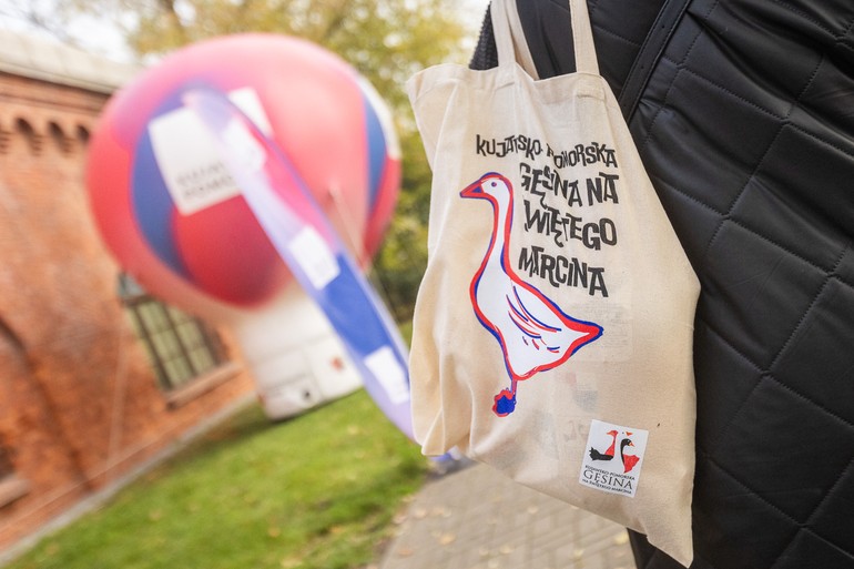 2025 gęsi trafią do mieszkańców regionu na świętego Marcina!