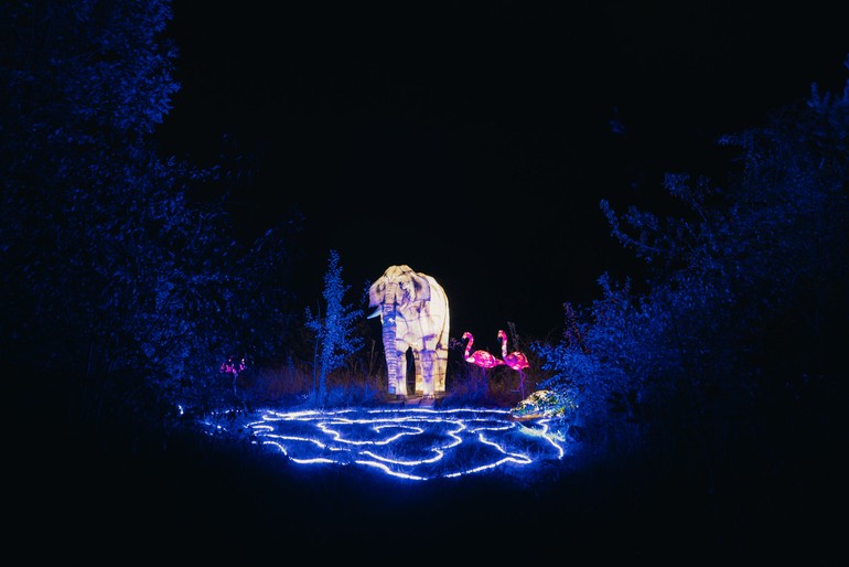 Magiczne Królestwo Zwierząt czeka na Ciebie w Bydgoszczy!