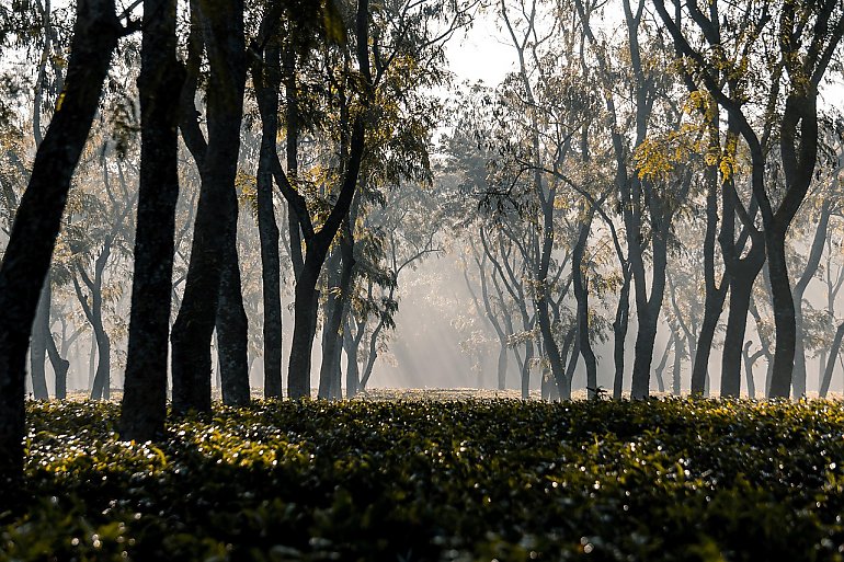 Słonecznie z umiarkowanym wiatrem nad Bydgoszczą [POGODA]