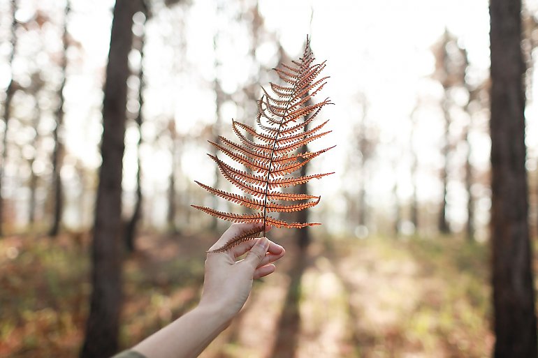 Pochmurno i chłodno, ale niedługo nastąpi zmiana [POGODA]